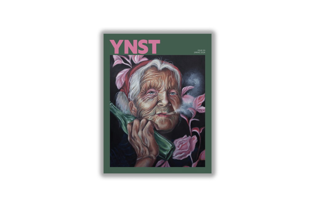 YNST Issue 03 cover featuring an oil painting by Lakin Fain