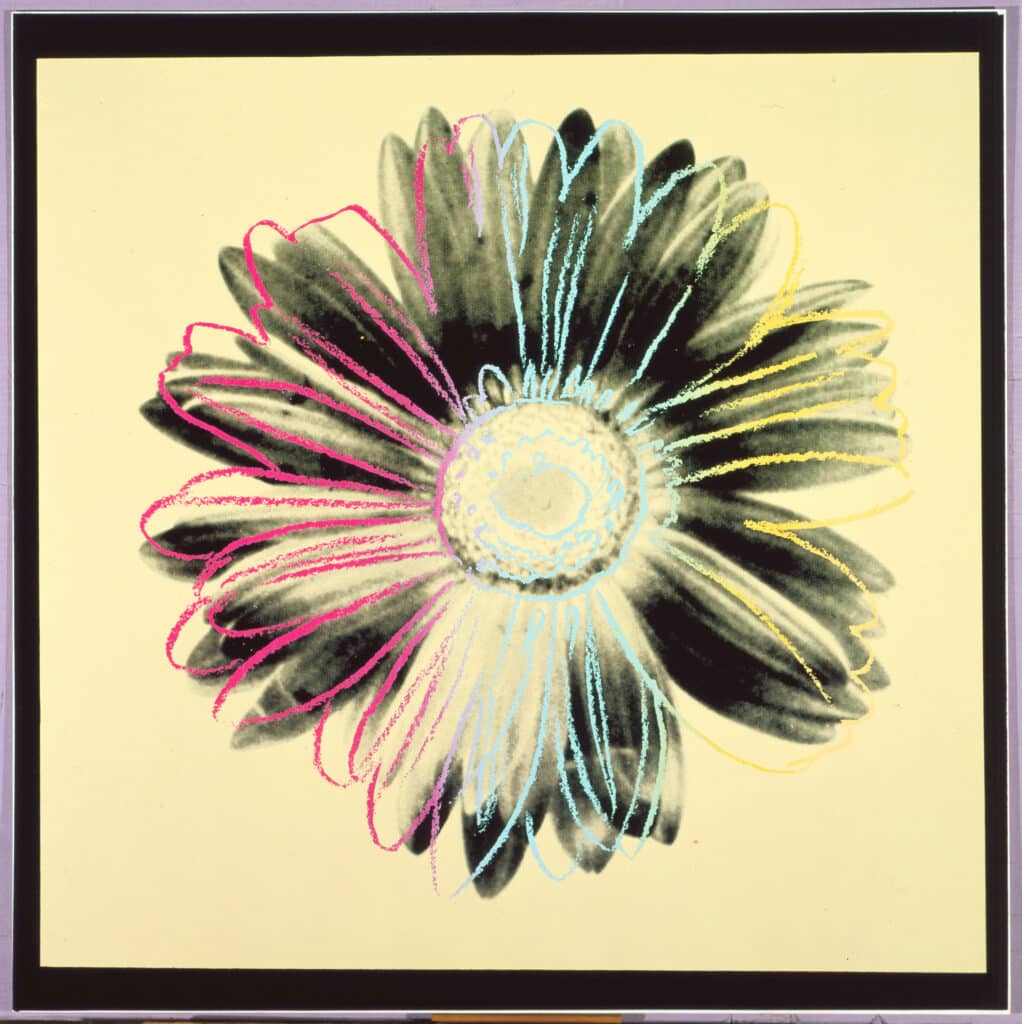 Andy Warhol, Daisy, 1982, © The Andy Warhol Foundation for the Visual Arts, Inc.