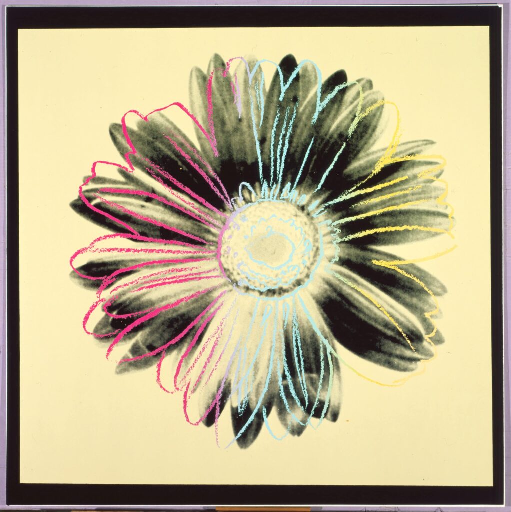 Andy Warhol, Daisy, 1982, © The Andy Warhol Foundation for the Visual Arts, Inc.