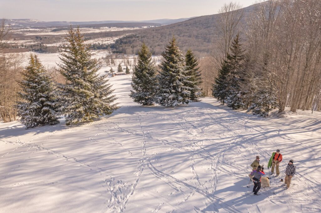 A still from the film 'Freeland ~ A White Grass Story'. White Grass Cabin can be seen between the trees with Canaan Valley in the background. A still from the film 'Freeland ~ A White Grass Story'. White Grass Cabin can be seen between the trees with Canaan Valley in the background.