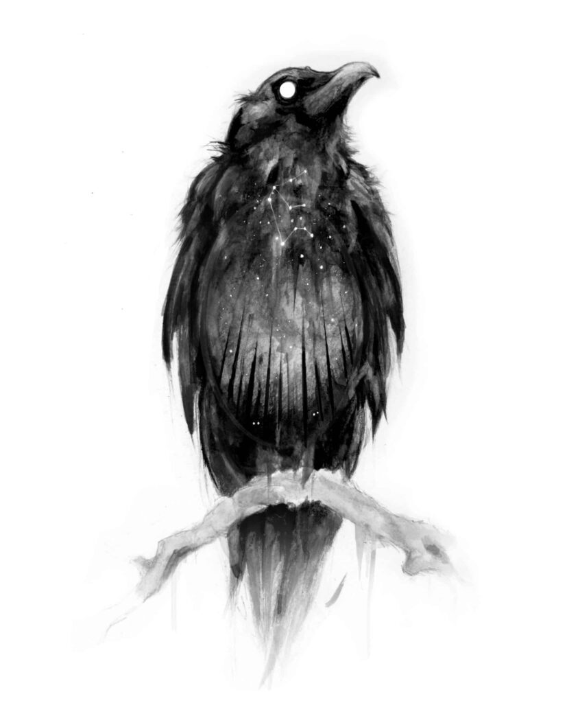 A work of art by Brian Serway depicting a crow. A work of art by Brian Serway depicting a crow.