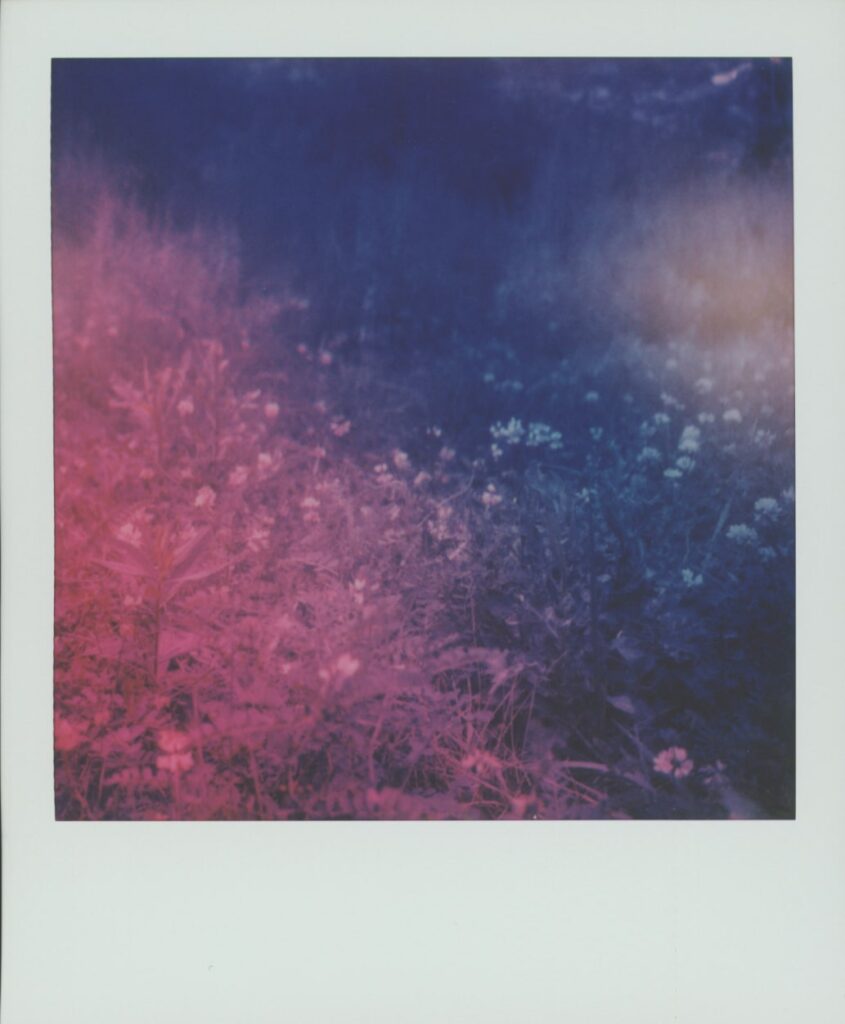 Eden