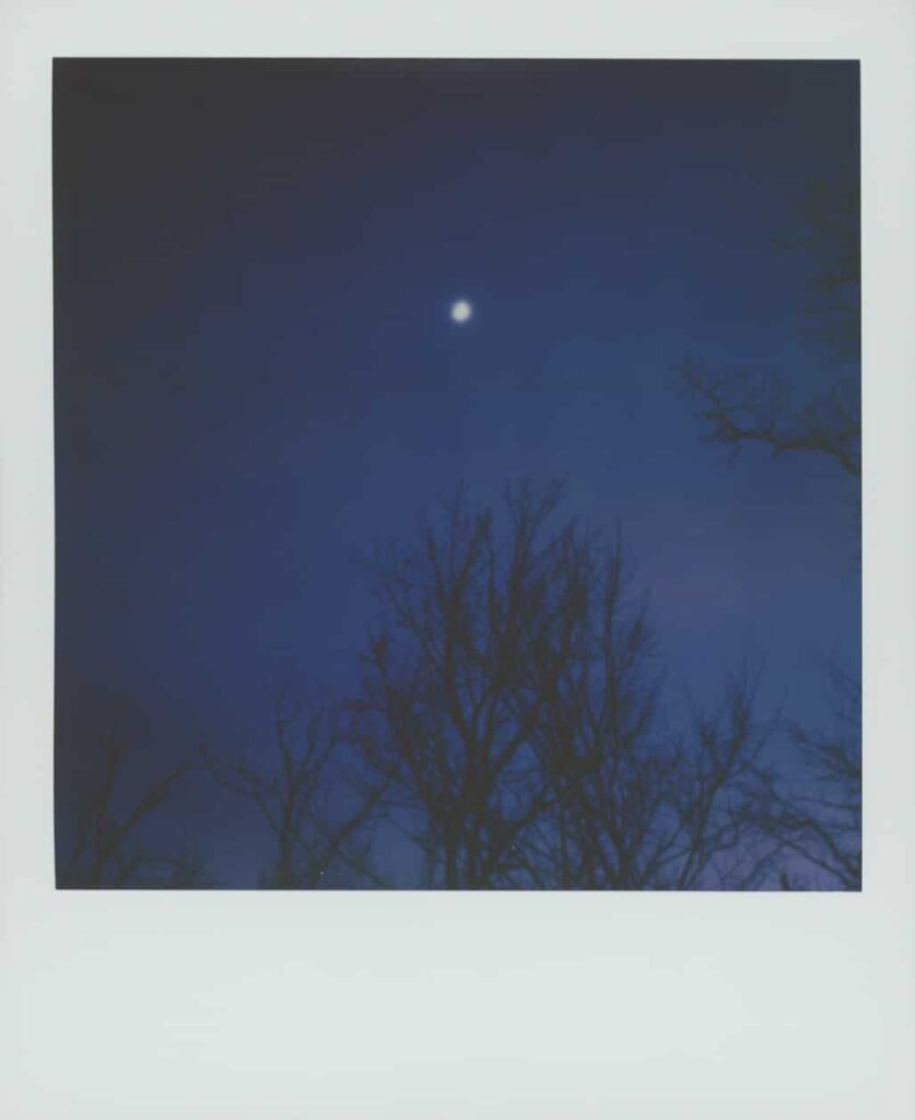 Moonstruck
