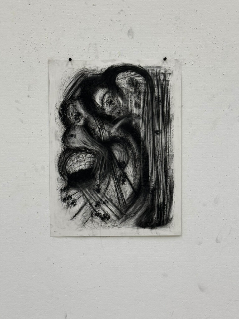 Untitled, Charcoal Conte (2024)