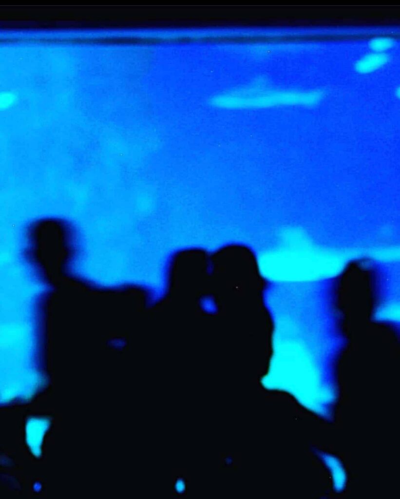Waves